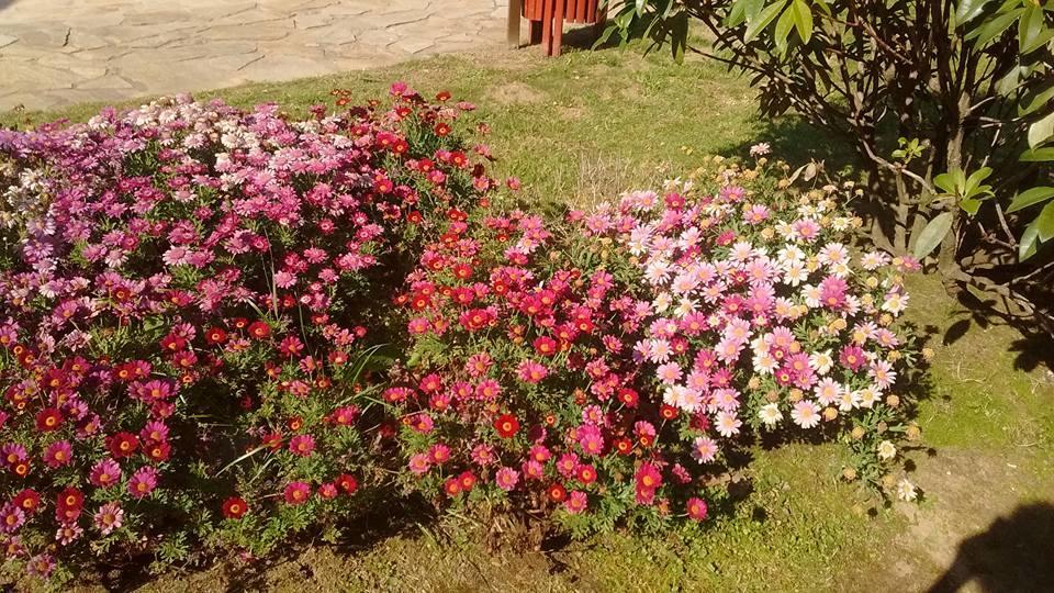 Alen Do Mis - Hotel Rural Foz Zewnętrze zdjęcie